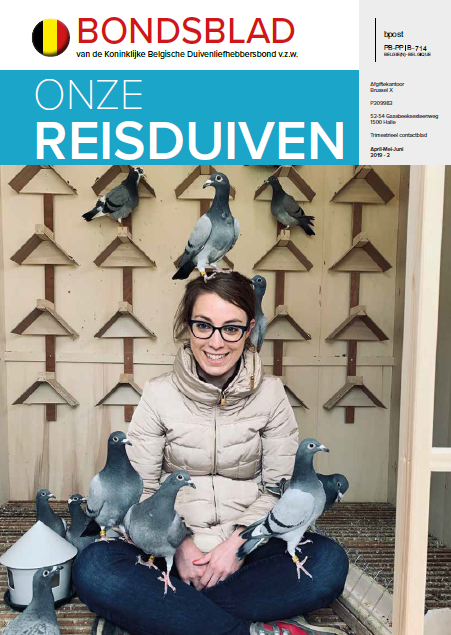 2019 - 2